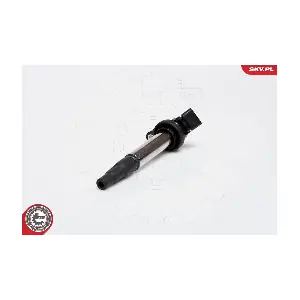ESEN SKV 03SKV173