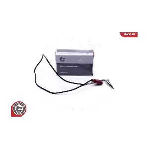 30SKV384 ESEN SKV