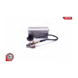 09SKV443 ESEN SKV