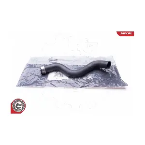 24SKV290 ESEN SKV