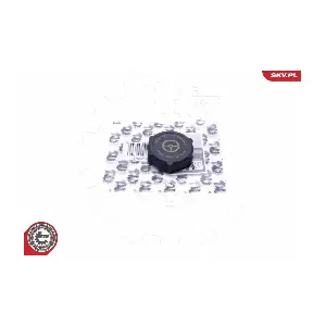 61SKV029 ESEN SKV