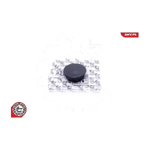 96SKV223 ESEN SKV