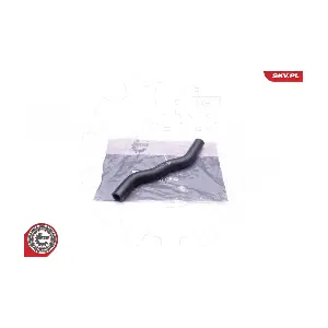 24SKV387 ESEN SKV