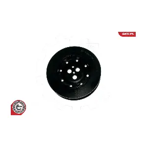 ESEN SKV 95SKV318