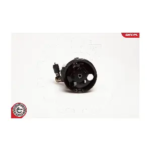 10SKV097 ESEN SKV