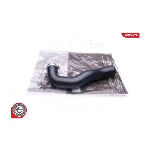 24SKV839 ESEN SKV