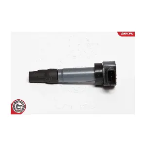 ESEN SKV 03SKV198