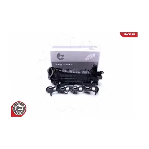 49SKV037 ESEN SKV
