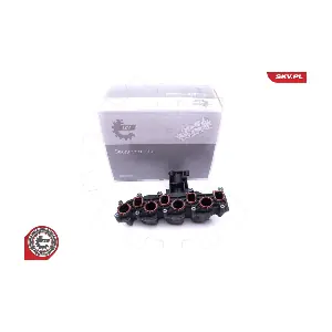 49SKV008 ESEN SKV