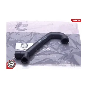 31SKV113 ESEN SKV