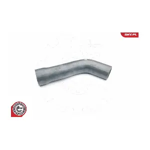 24SKV079 ESEN SKV