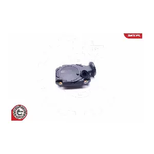 31SKV073 ESEN SKV