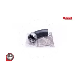 24SKV858 ESEN SKV