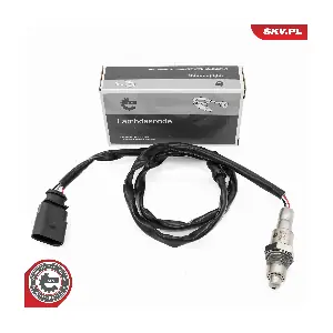 09SKV181 ESEN SKV
