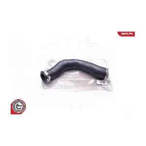 24SKV181 ESEN SKV