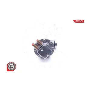 18SKV019 ESEN SKV