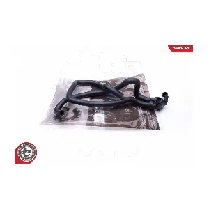 43SKV807 ESEN SKV