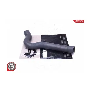 43SKV301 ESEN SKV
