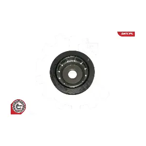 ESEN SKV 95SKV323