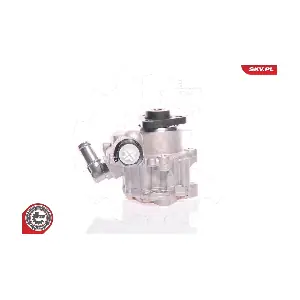 10SKV161 ESEN SKV