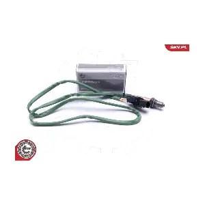 09SKV406 ESEN SKV