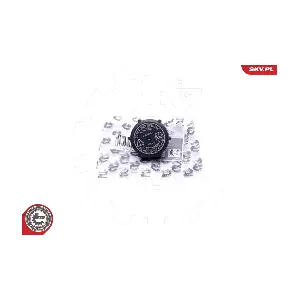 61SKV019 ESEN SKV