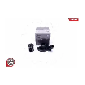 20SKV136 ESEN SKV