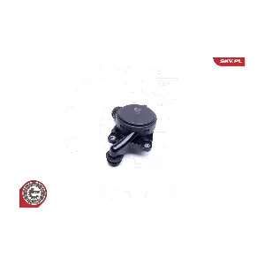 31SKV156 ESEN SKV