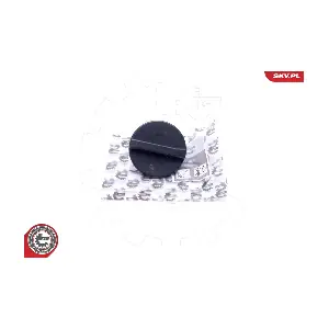 61SKV018 ESEN SKV