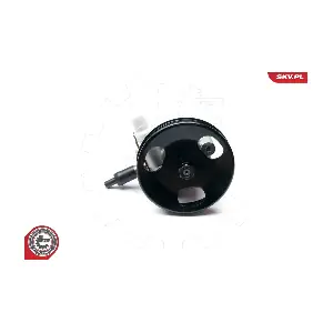 10SKV228 ESEN SKV