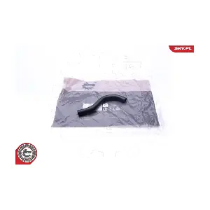 31SKV117 ESEN SKV