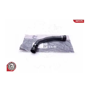 43SKV719 ESEN SKV