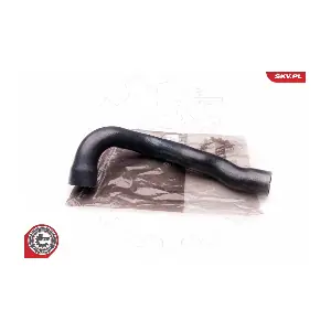 24SKV163 ESEN SKV