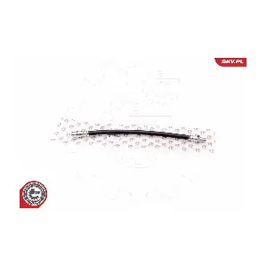 35SKV019 ESEN SKV
