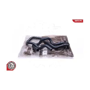 43SKV806 ESEN SKV