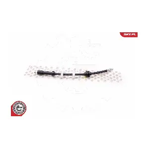 35SKV043 ESEN SKV