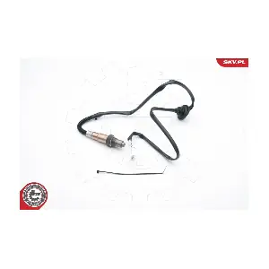 ESEN SKV 09SKV659