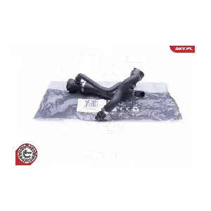 24SKV262 ESEN SKV