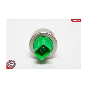 95SKV117 ESEN SKV