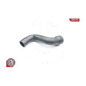 24SKV118 ESEN SKV