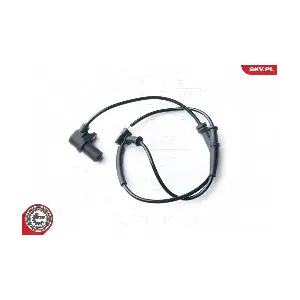 06SKV257 ESEN SKV