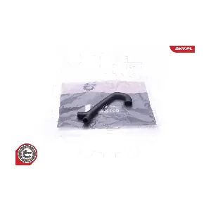 31SKV118 ESEN SKV