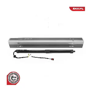 52SKV168 ESEN SKV
