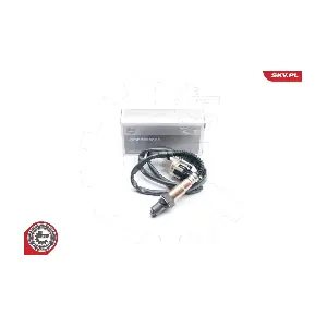 09SKV866 ESEN SKV