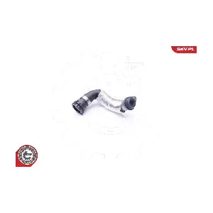 24SKV253 ESEN SKV