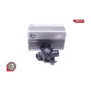 20SKV177 ESEN SKV