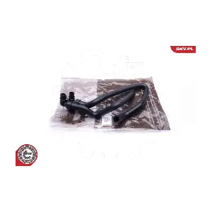 43SKV810 ESEN SKV
