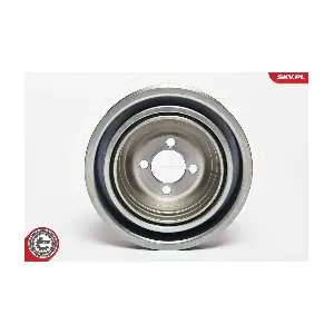 ESEN SKV 95SKV312