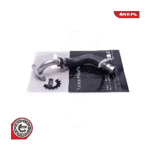 31SKV198 ESEN SKV