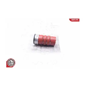 24SKV711 ESEN SKV